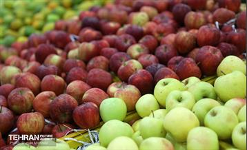 بهره‌برداری از پروژه‌های خدمات شهری در منطقه ۱۷ 16