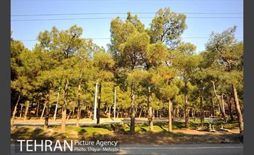 پارک جنگلی سرخه حصار 39