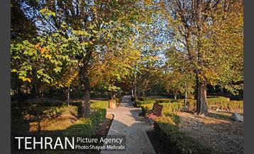 طبیعت پاییزی بوستان لاله 3