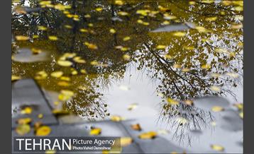 پاییز زیبای پایتخت- 4 10