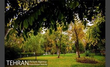 پاییز پارک شهر 20