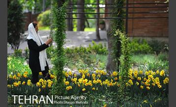 رویش گل های لاله در باغ ایرانی 5