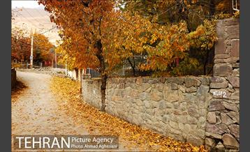 پاییز طلایی روستای افجه 13