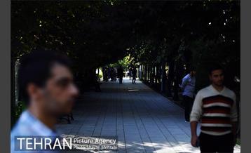 بوستان هنرمندان (ایرانشهر) 13