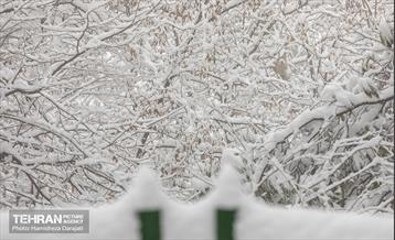روایت مه‌و‌برف در بوستان سنگی تهران  13