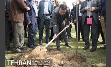 درختکاری و لانه گذاری کبوتر در بوستان بعثت 30