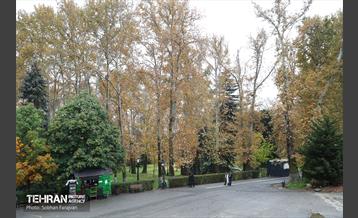 طبیعت پاییزی مجموعه فرهنگی تاریخی سعدآباد  5