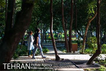 بوستان باغ ایرانی 5