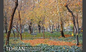 پاییز در پارک شهر 31