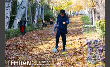 پاییز بوستان تمدن 14