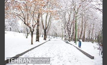 روز برفی تهران در بوستان ملت 17