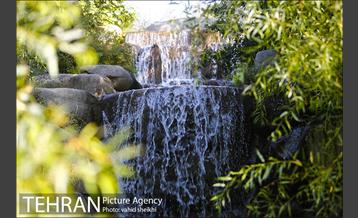 باغ گیاه شناسی ملی ایران  24