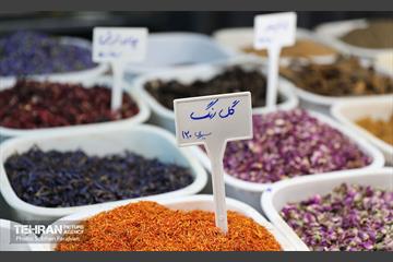 دوازدهمین جشنواره انار  23