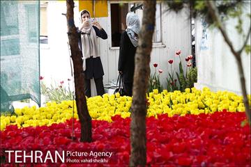 پیاده راه لاله برای مادران 3