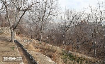 اینجا کارگاهه؛ اکو پارک فرحزاد 23