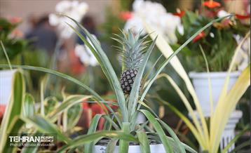 آیین افتتاح نوزدهمین نمایشگاه بین‌المللی گل و گیاه 13
