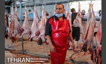 مرکز عرضه دام بهداشتی به مناسبت عید قربان در منطقه 22 تهران 12