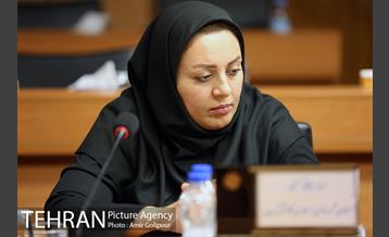 سی و پنجمین نشست تخصصی معاونین شهرسازی و معماری کلانشهرهای ایران 36 18