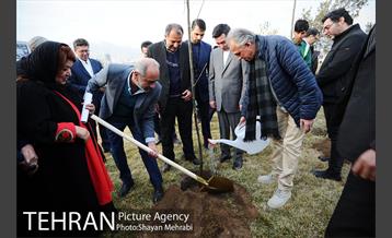 کاشت شش نهال درخت زیتون با حضور کارگرداران سینمای ایران 9