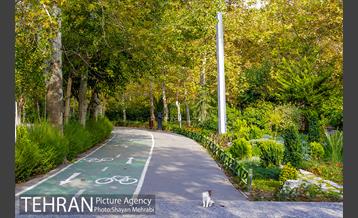 پاییز بوستان لاله 2