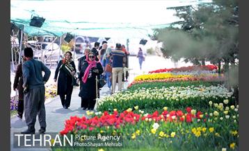 پیاده راه لاله مادران 12