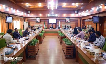 بازدید نرگس معدنی پور از منطقه 17