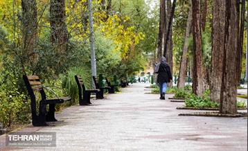 یک روز پاییزی در منطقه ۱۴