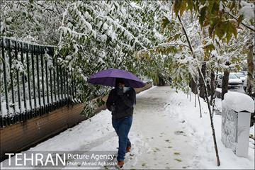 بارش اولین برف پاییزی در تهران 8