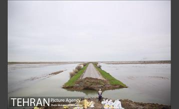 جلوگیری از ورود اب گرگان رود به شهر اق قلا 13