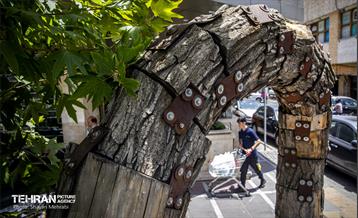 جان دوباره در درختستان 19