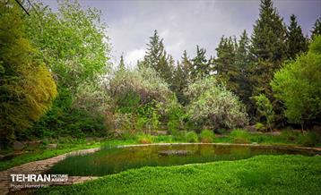 باغ گیاه‌شناسی 50