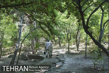 بوستان جمشیدیه‎ 21