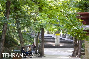 بوستان قیطریه 29