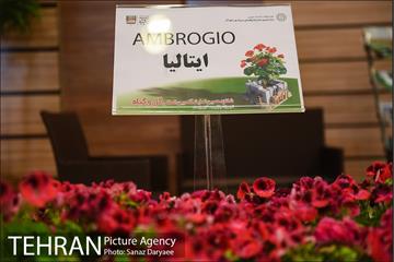 شانزدهمین نمایشگاه بین المللی گل و گیاه تهران 4