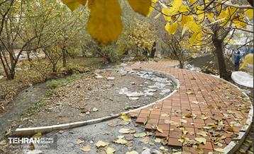 مراحل احداث پروژه ی باغ باهنر 21