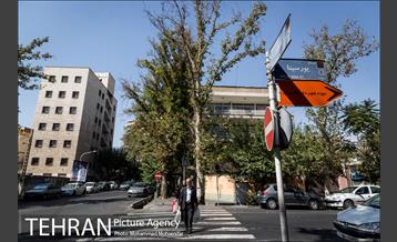 شهرنگار؛ خیابان ۱۶ آذر 25