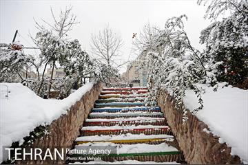 بارش برف زمستانی در تهران 9