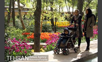 لاله های بهاری بوستان مختاری 17