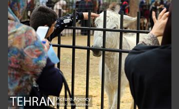 آیین بهره برداری باغ راز هستی 6