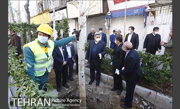مراسم کاشت درخت در خیابان ولیعصر  19