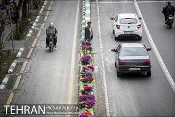 استقبال از بهار در خیابانهای تهران 22