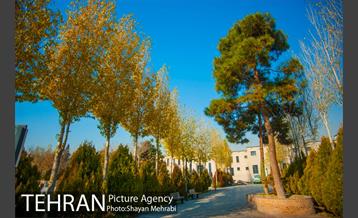 پاییز باغ موزه قصر 28