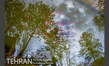 باغ موزه نگارستان 3