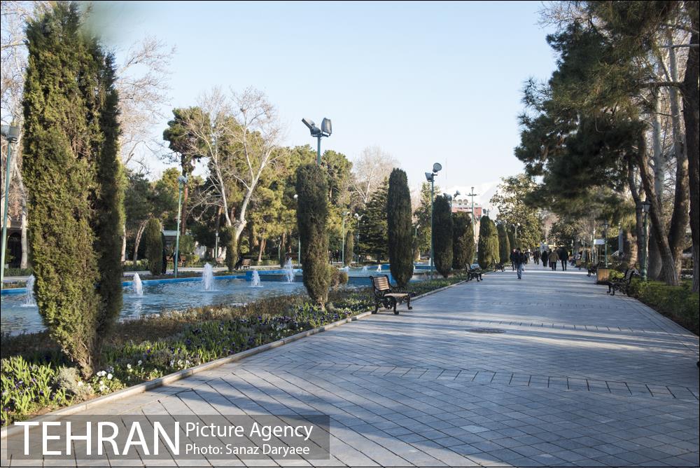 بوستان شقایق