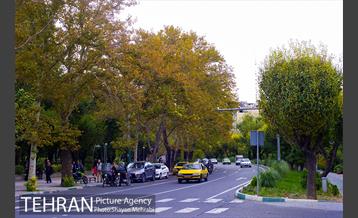 پاییز بوستان لاله 36