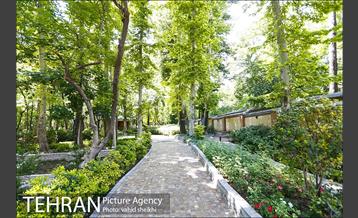 باغ ایرانی 1