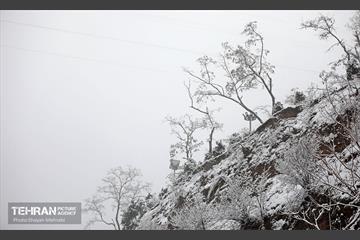 بارش برف زمستانی در تهران 2