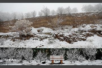 بارش برف زمستانی در تهران 35