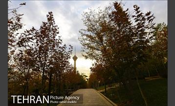 طبیعت پاییزی بوستان فدک 30