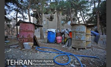 فراموش شدگان اداره منابع طبیعی در بوستان چیتگر 13